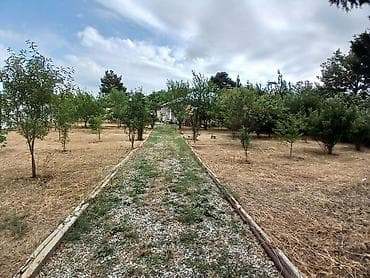 ev və bağ: 3 otaqlı, 112 kv. m, Kredit yoxdur, Orta təmir — 6