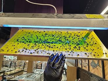 milçək: Həşərat öldürən, Yeni, Ünvandan götürmə, Pulsuz çatdırılma, Ödənişli çatdırılma — 3