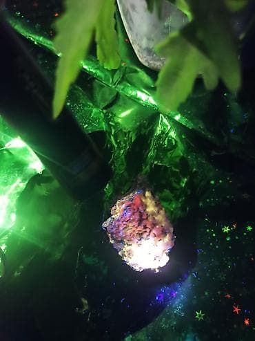 Opal + Kalsit + Kvarsit (vulkanik birləşmə) 💎UV Floresanslı Nadir