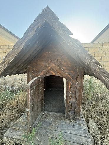 Taxta it evi - Material: tam ağac konstruksiya, qalın taxta gövdə və