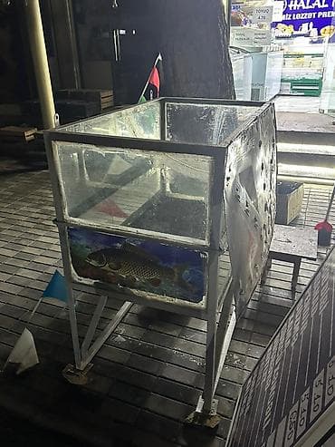 *Roya*. Kod : 1536 Akvarium satilir Boyuk baliqlar saxlamaq ucundur