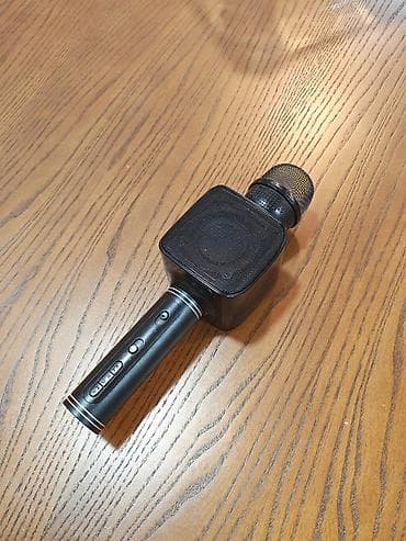 bluetooth mikrofon karaoke: Portativ karaoke mikrofonu və dinamik bir yerdə - Simsiz karaoke — 2