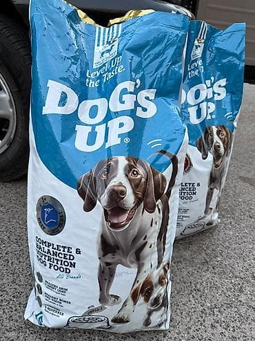 Heyvanlar üçün mallar: Endirimli qiymət . yararlanmaq üçün tələsin . DoG’s Up itlər üçün quru — 2