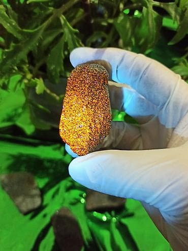 Монеты: Kolleksiyacılar üçün Qeyri-adi Təbii xam daş 😍✨ — 3