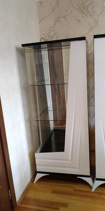 Mağaza avadanlığı: Şüşəli dolab vitrini, İşlənmiş, Ödənişli çatdırılma — 7