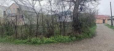 4 sot, Tikinti, Kupça (Çıxarış)