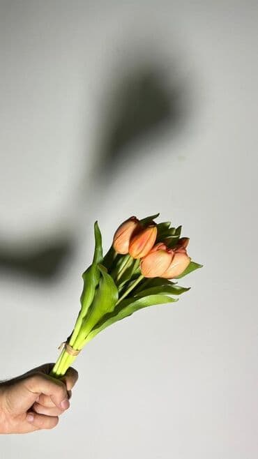 tülpan gülü haqqında: Məhsul: Tülpan gulleri - Rənglər: Şaftalı-narıncı və ağ tonlarda — 4