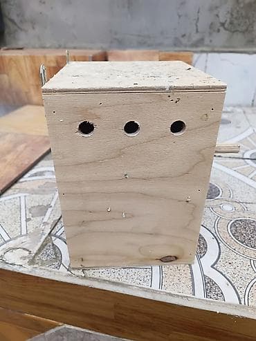 Yuvalar: Məhsul: Taxta quş yuvası/küçük quşlar üçün yuvalama qutusu Təsvir: - — 2