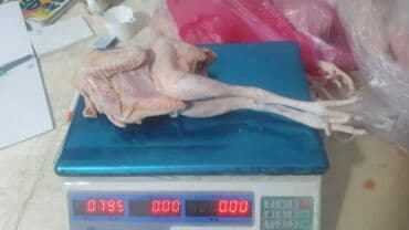 Коровы, быки: Məhsul: Təmizlənmiş çolpalar başsız, içalatı çıxarılmış), ayaqları ilə — 4