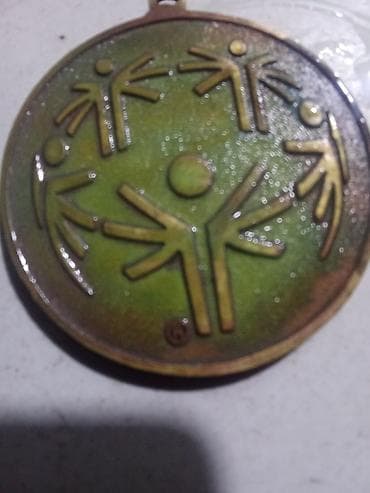 аляски фромполис: 2001 Special Olympics World Winter Games medalı – Alaska - Orijinal — 2