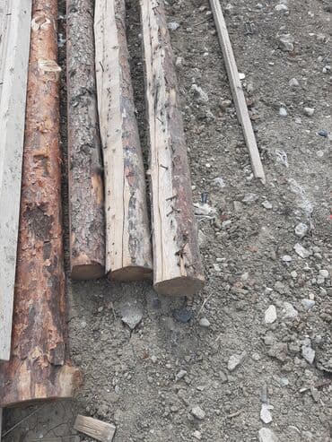 5×15 taxta qiymeti 2023: Taxta şalban/kötüklər uzunluq 3 metirdən artıqdı diyametri 150 lik — 2