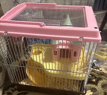 корм для кошек: Hamster və tam avadanlıqlı qəfəs dəsti Məhsulun tərkibi: - Kiçik — 2