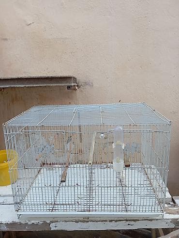 hamster urrekara: Quş qəfəsi,hamster qefesi, dovşan qəfəsi ve s - Material: metal torlu — 2