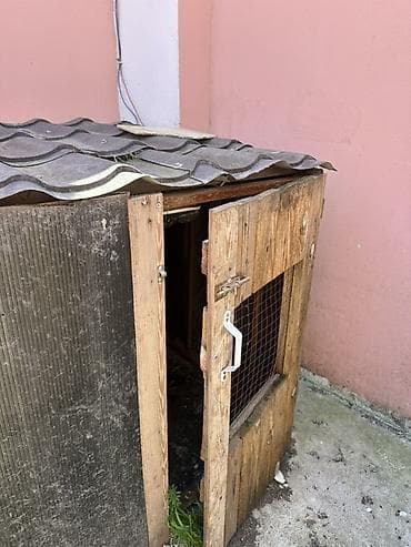 toyuq damı: Taxta toyuq/broyler kümesi - Material: taxta karkas, ön və yan — 1