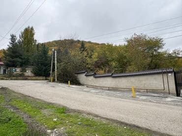 qalmaq serti ile: 43 sot, Kənd təsərrüfatı, Mülkiyyətçi, Kupça (Çıxarış) — 1