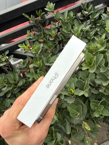 кнопочный телефон: IPhone 16 Pro — 4