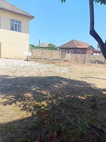 sekide ucuz kiraye evler: 4 otaqlı mənzil 140кв - Geniş və işıqlı zal: divarları açıq yaşıl — 5