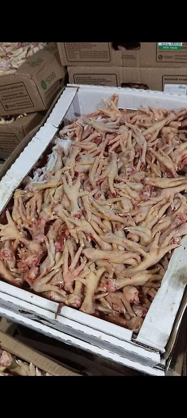 pul qab: It yemi toyuq ayağı təzədir hərgün olur hərcins itlər rahat yeyir — 3