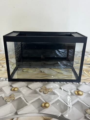 akvarium gəncə: 10 litrlik akvarium. Çərçivə qıraqları profil deyil vinildir. Arxası — 1