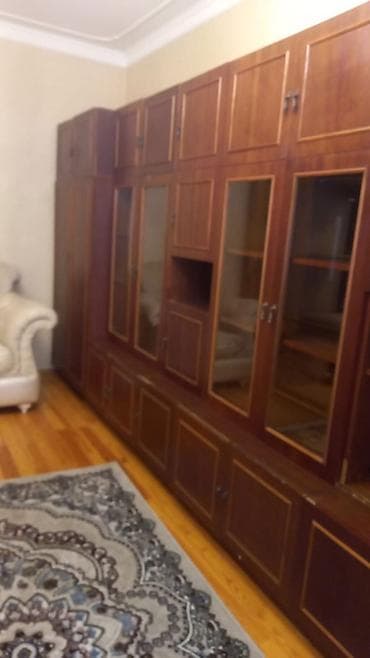 Klassik üslubda böyük ölçülü divar dolabı/vitrin sistemi - Material — 1