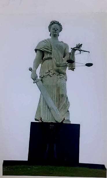 semeni dekoru: Dekor məhsulları — 6