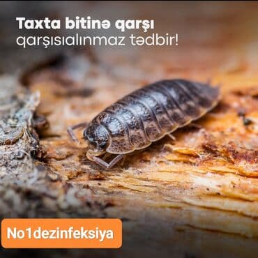 чистка мебели на дому: Дезинфекция, дезинсекция | Клопы, Блохи, Тараканы | Квартиры, Кафе, магазины, Дворы — 4