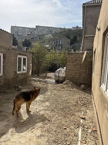 ev: Həyətyanı sahə və köməkçi tikililərlə birlikdə həyət iki sot senedleri — 1