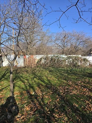 yari tikili: 6 sot — 3