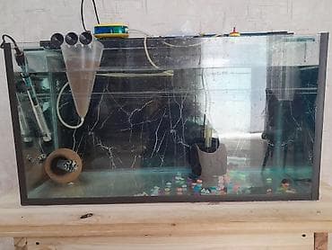 akvarım: Dördbucaq akvarium, Boş, 110 l, Ünvandan götürmə — 2