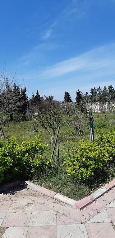 zabratda ev: Digah, 192 kv. m, 4 otaqlı, Hovuzlu, Qaz, İşıq, Su — 8