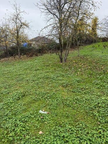 купить участок в бузовнах: 18 соток, Для строительства, Купчая — 3