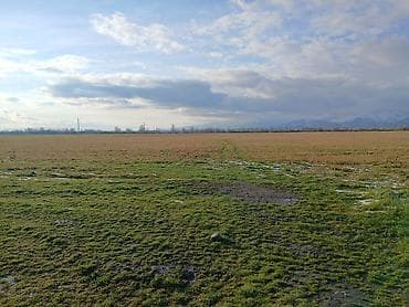 cəlilabad torpaq satılır: 35 sot, Biznes üçün, Mülkiyyətçi, Kupça (Çıxarış) — 10