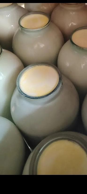 Məhsul: Təbii kənd südündən hazirlanir Beyləqanda istehsal olunur
