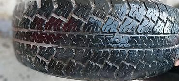 mini laser: İşlənmiş Şin Lassa 265 / R 16 — 4