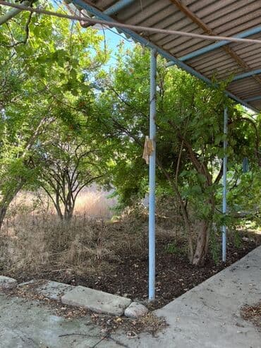 аренда и продажа недвижимости: 100 kv. m, 3 otaqlı, Hovuzlu, Artezian quyusu, Su, Kombi — 12