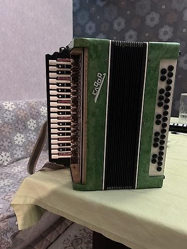 Синтезаторы: Акустический Аккордеон, Новый — 2