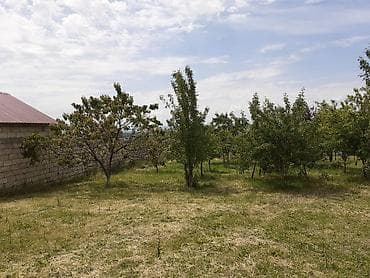 qubada torpaq satilir 2024: 6 sot, Tikinti, Maklerlər narahat etməsin, Kupça (Çıxarış) — 1