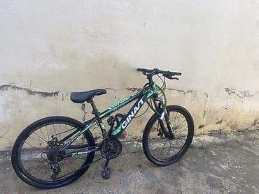 velosiped canta: MTB tipli dağ velosipedi – Ginat markalı, 26" təkərli Velosipden 250 — 3