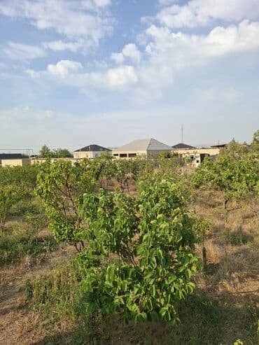 kirayə evlər yeni yasamal: 3 otaqlı, 100 kv. m, Kredit yoxdur, Yeni təmirli — 24