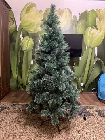 böyük yolka: Yolka — 1