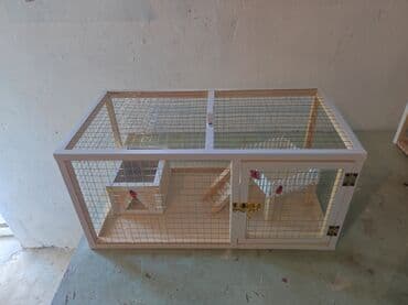 bildirçin yuvası: Dovşan,hamster,şinşila,bildirçin,cücə,xamyak,pişik,quş ve s kimi ev — 3