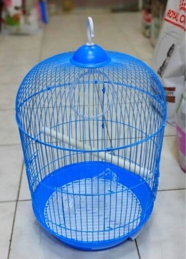 bildirçin satilir 80 qep: Quş qəfəsləri – müxtəlif forma və rənglərdə var.Qiymətlər 15 manatdan — 2