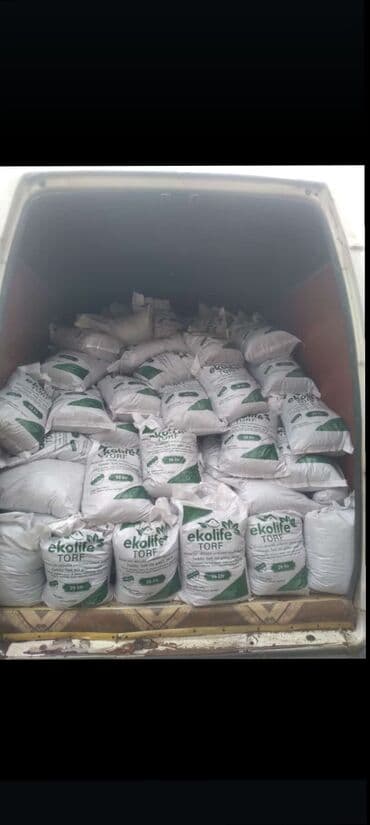 orxideya satisi: Torf gubrrlesin. satişi — 10