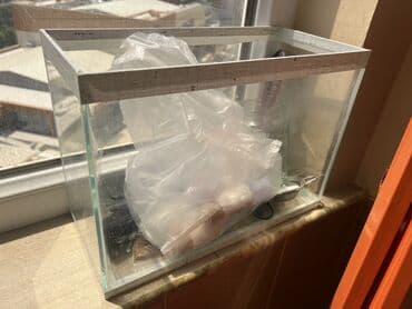 аквариум без рыб: Şüşə akvarium tankı akvatik heyvanlar və ya bitkilər üçün şəffaf — 2