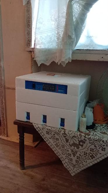 ucuz printer satilir: Yendi alinib istifade olmayib 250 Azn tecili satilir isteyen elaqe — 1