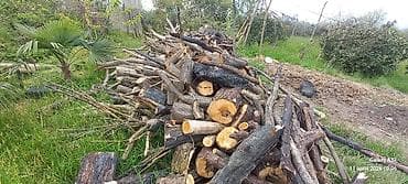 antique bisirme sobasi: Ocaq/soba üçün odun - Qalın gövdə və orta ölçülü budaqlardan — 1