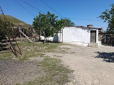torpaq satilir: Kənd təsərrüfatı, Kupça (Çıxarış) — 8