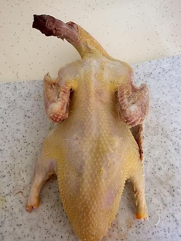 qaşqaldağ quşu: Ağ Pekin ördəkləri və təzə kəsilmiş ördək əti - Cins: Ağ Pekin — 1