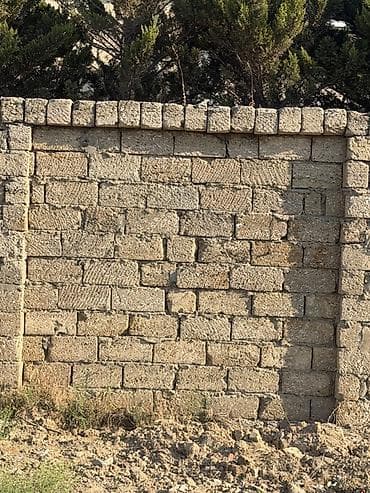 saray torpag: Tikinti — 5