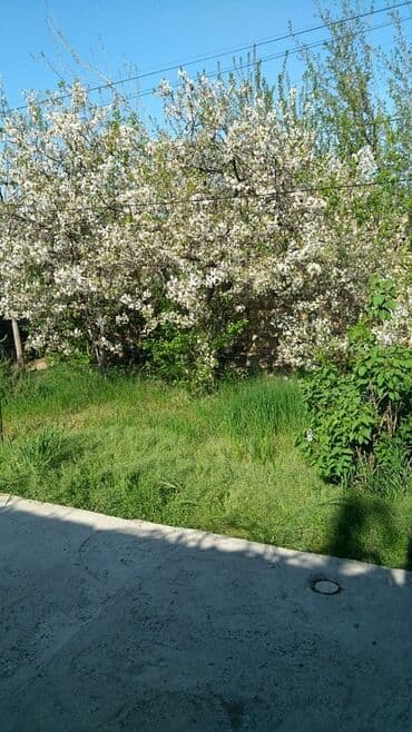 Yeni Ramana 3 otaqlı, 83 kv. m, Kredit yoxdur, Orta təmir — 7